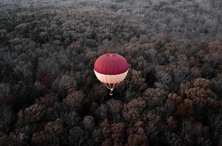 autumn, forest, flight, balloon, height, VA, USA, America, HD wallpaper