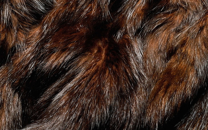 texture, fur, dark, HD wallpaper