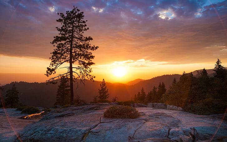 solnedgång, berg, träd, skalbagge, Sierra Nevada, HD tapet