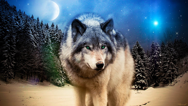 lukisan serigala coklat dan hitam, serigala, binatang, margasatwa, Photoshop, Wallpaper HD