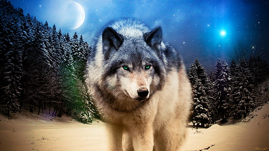 Malerei des braunen und schwarzen Wolfs, des Wolfs, der Tiere, der wild lebenden Tiere, Photoshop, HD-Hintergrundbild HD wallpaper