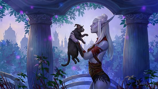 Blizzard Entertainment ، و World of Warcraft ، و Nightborne ، و Night Elves، خلفية HD HD wallpaper
