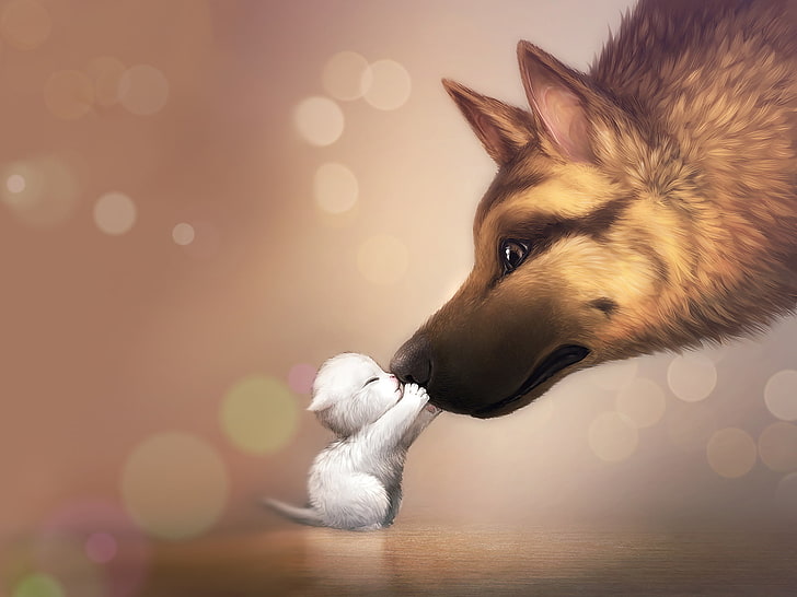 วอลล์เปเปอร์สุนัขจิ้งจอกสีน้ำตาลและลูกแมวสีขาวความรักความอ่อนโยนสุนัขครอบครัวคิตตี้แม่, วอลล์เปเปอร์ HD
