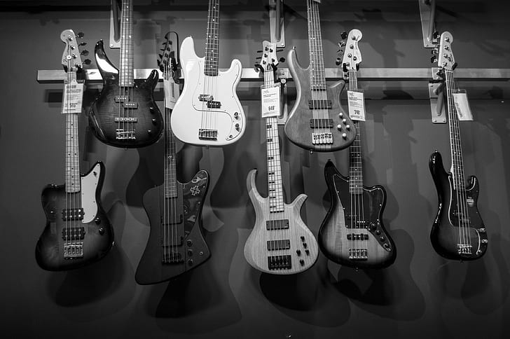 acoustics, bass guitars, black and white, collection, design, electric guitars, guitar, monochrome, music, rock, shop, sound, string instrument, strings, HD wallpaper
