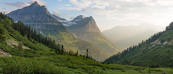 zielone góry, lodowce, park narodowy, Montana, USA, drewno, góry, krajobraz, śnieg, trawa, Tapety HD