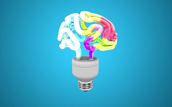 brain, lightbulb, HD wallpaper