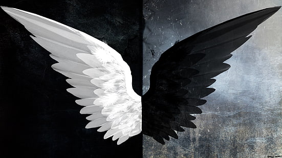 Фантазия, ангел, черно-бяло, тъмно, зло, светлина, крила, HD тапет HD wallpaper