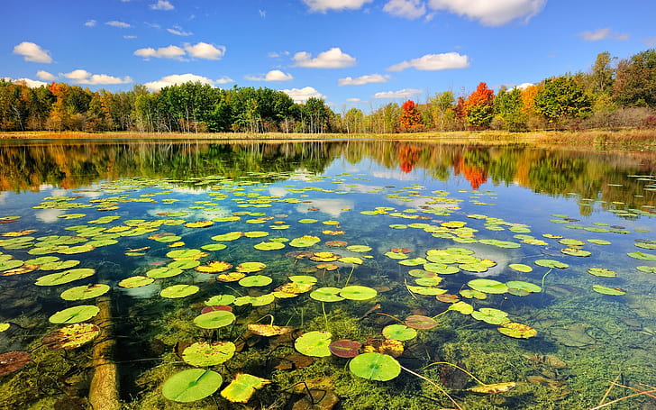 자연 가을 숲의 호수, 자연, 가을, 숲, 호수, HD 배경 화면