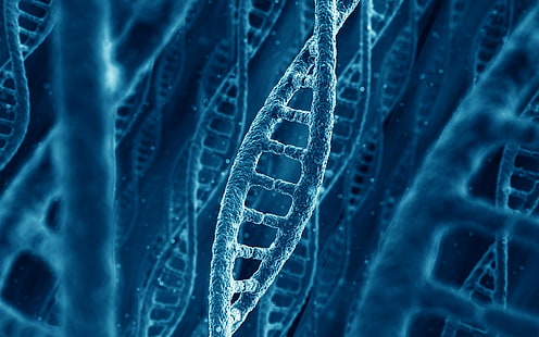 A DNA chain, blue dna graphic, molecule, a DNA chain, the nature of, HD wallpaper HD wallpaper
