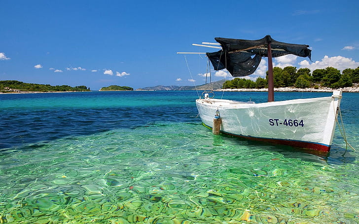 Crotaia mer Adriatique, nature, crotaia, adriatique, Fond d'écran HD