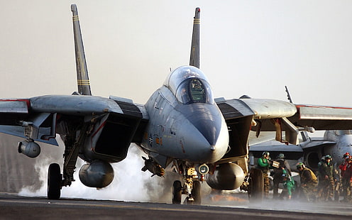 серый истребитель цифровые обои, Grumman F-14 Tomcat, самолеты, военный самолет, авианосец, ВМС США, HD обои HD wallpaper