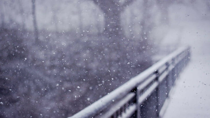 salju, kedalaman lapangan, pagar, musim dingin, Wallpaper HD