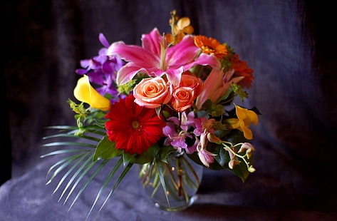 разноцветная цветочная композиция, гербера, роза, лилия, калла, орхидеи, цветы, букет, композиция, ваза, HD обои HD wallpaper