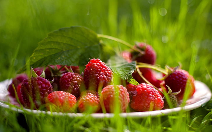Fresh raspberry, fruits, raspberry, HD wallpaper