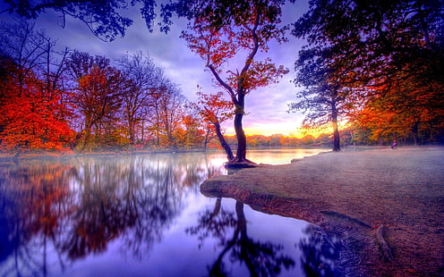 Naturaleza otoño silencio, Naturaleza, Otoño, Silencio, Fondo de pantalla HD HD wallpaper