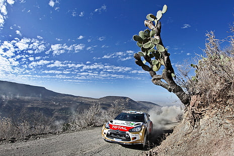 Der Himmel, Sport, Geschwindigkeit, Rennen, Tag, Citroen, DS3, WRC, Rallye, HD-Hintergrundbild HD wallpaper