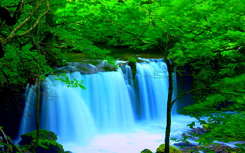 산림 강 폭포 바탕 화면 배경 벽지 2560 × 1600, HD 배경 화면 HD wallpaper