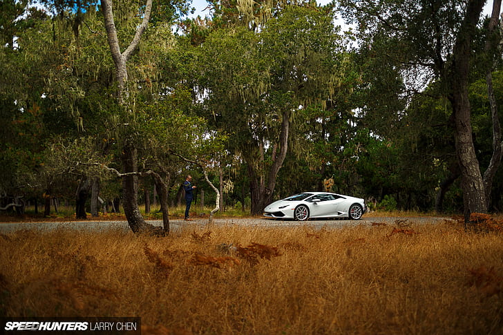 Lamborghini Huracan Trees HD, white lamborghini huracan, cars, trees, lamborghini, huracan, HD wallpaper