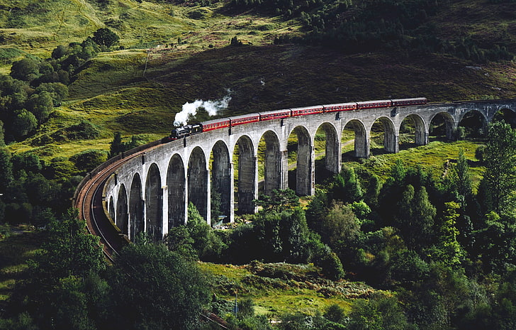 красно-серый поезд, природа, пейзаж, мост, поезд, HD обои