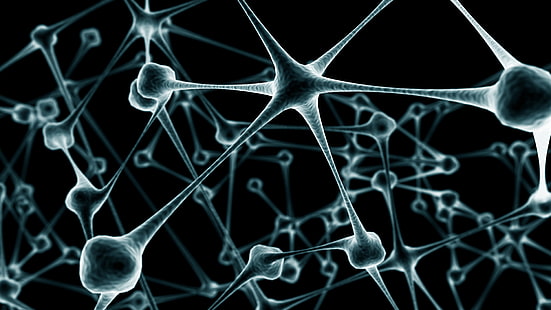 neurony, sztuka cyfrowa, grafika, CGI, Tapety HD HD wallpaper