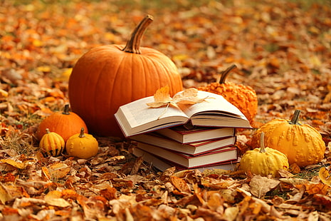 automne, feuilles, livres, récolte, citrouille, jaune, Fond d'écran HD HD wallpaper