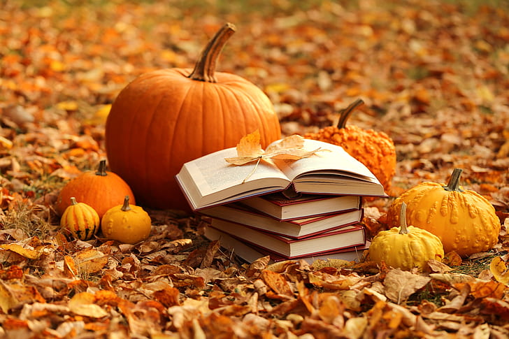 Photography, Still Life, Book, Fall, Leaf, Pumpkin, HD wallpaper