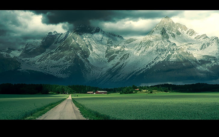 road, grass, village, snow, sky, field, trees, HD wallpaper