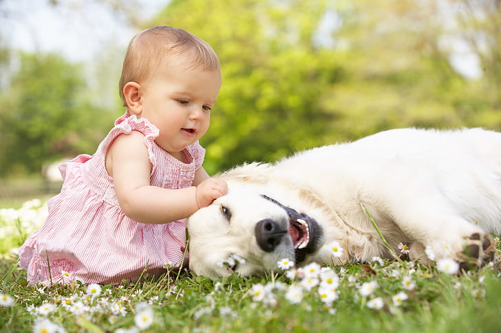 bayi, cantik, anak, masa kecil, anjing, bunga, gadis, rumput, bahagia, suasana hati, bermain, Wallpaper HD