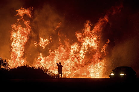 api, manusia, hd, 4k, hutan, hutan, fotografi, Wallpaper HD HD wallpaper