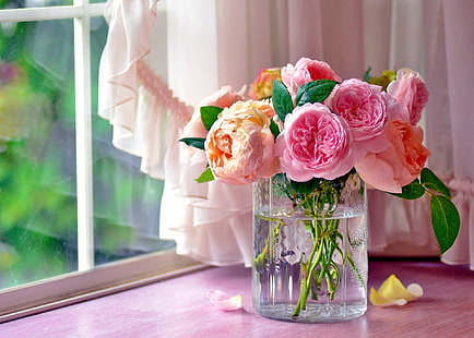Künstlich Geschaffen, Blume, Vorhang, Rosa Blume, Rose, Vase, Fenster, HD-Hintergrundbild HD wallpaper