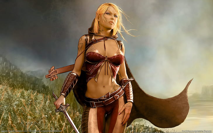 ตำนานของผู้ตรวจสอบ Norrath Legends Of Norrath Inquisitor HD, เกม, ตำนานของผู้ตรวจสอบ Norrath, วอลล์เปเปอร์ HD