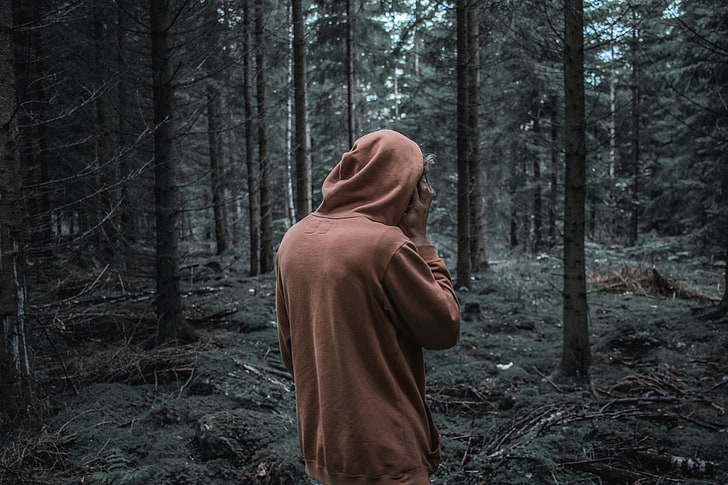 brown pullover hoodie, man, forest, hoodie, walk, HD wallpaper