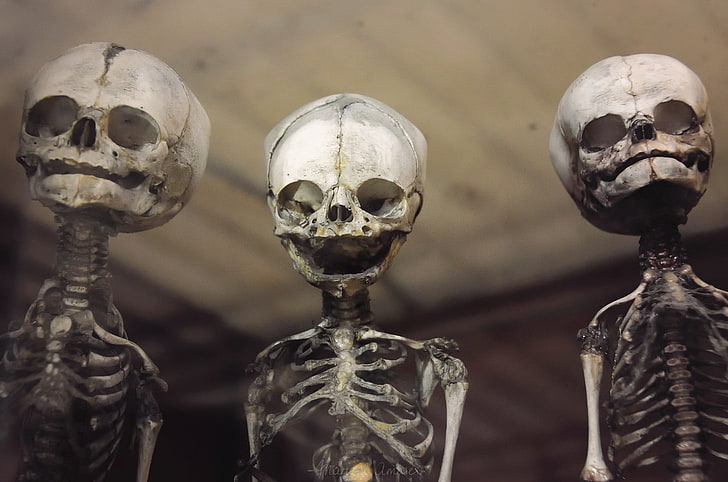 две бяло-черни керамични фигурки, скелет, череп, HD тапет