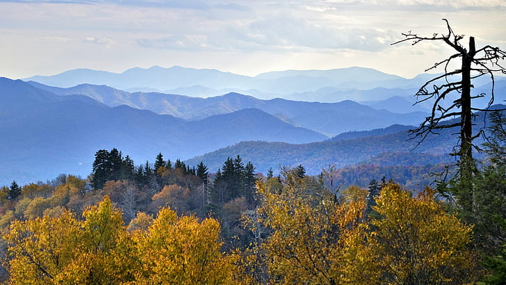ภาพถ่ายมุมสูงจากมุมสูงของเนินเขา, นอร์ทแคโรไลนา, นอร์ทแคโรไลนา, นอร์ทแคโรไลนา, ฤดูใบไม้ร่วง, Newfound Gap, Great Smoky Mountains, มุมมองตานก, การถ่ายภาพ, ภาพเงา, เนินเขา, อุทยานแห่งชาติ Great Smoky Mountains, เดสก์ท็อป, Smokies, สีตก, ห่างไกล, ภูเขาที่มีหมอกควัน, ขอบฟ้า, HD, วิวภูเขา, สะพาน, ยอดนิยม, รายการโปรด, ดีที่สุด, ด้านบน, ธรรมชาติ, โดยธรรมชาติ, ความงาม, 16x9, s, ฤดูใบไม้ร่วง, ภูเขา, ป่า, ต้นไม้, ภูมิทัศน์, เข้ามาเยี่ยม, กลางแจ้ง, สีเหลือง, ความสวยงามใน ธรรมชาติฤดูเทือกเขาท้องฟ้ายอดเขา, วอลล์เปเปอร์ HD