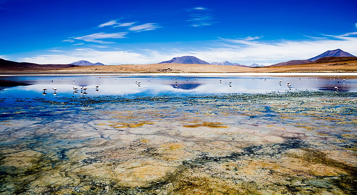 カナパ湖、ボリビアHD、穏やかな水域、南アメリカ、ボリビア、 HDデスクトップの壁紙