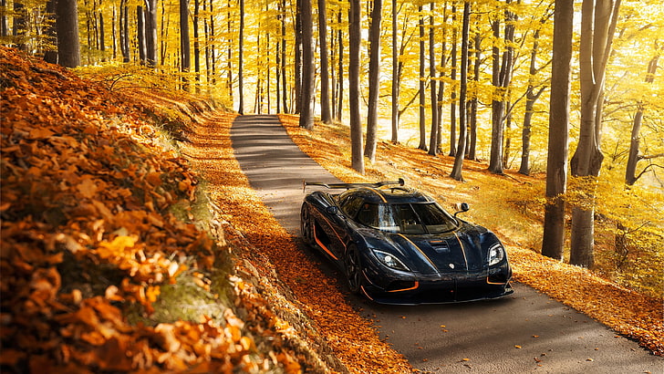carro de luxo preto, carro, veículo, natureza, outono, folhas, árvores, Koenigsegg, Koenigsegg Agera, estrada, floresta, luz solar, supercarros, carro esportivo, HD papel de parede