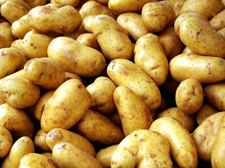 pile of potatoes, potatoes, young, vegetables, HD wallpaper