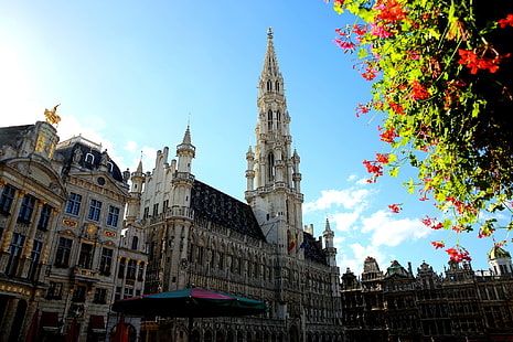 fleurs, arbre, tour, Belgique, Bruxelles, hôtel de ville, La Grand-place, Fond d'écran HD HD wallpaper
