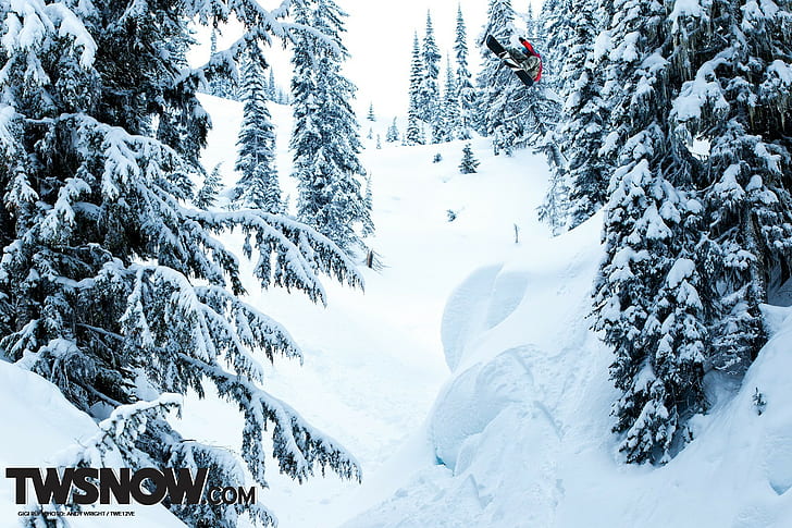 hiver, neige, snowboard, sport, arbres, Fond d'écran HD