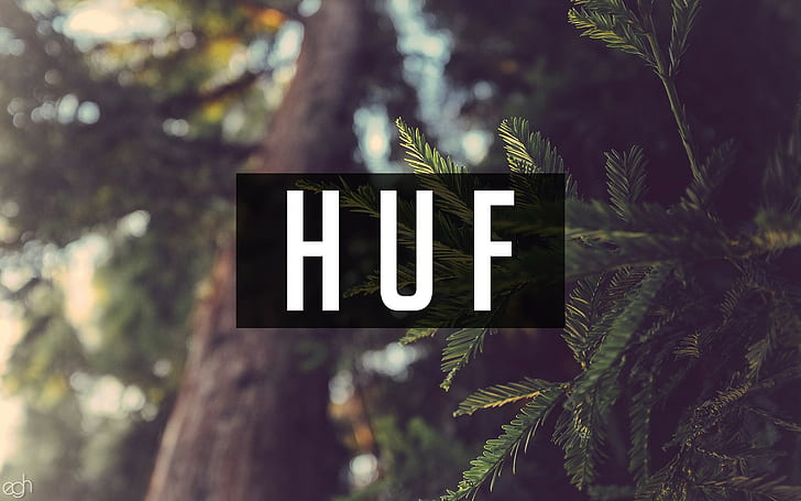 foresta di scrittura della natura di huf, Sfondo HD