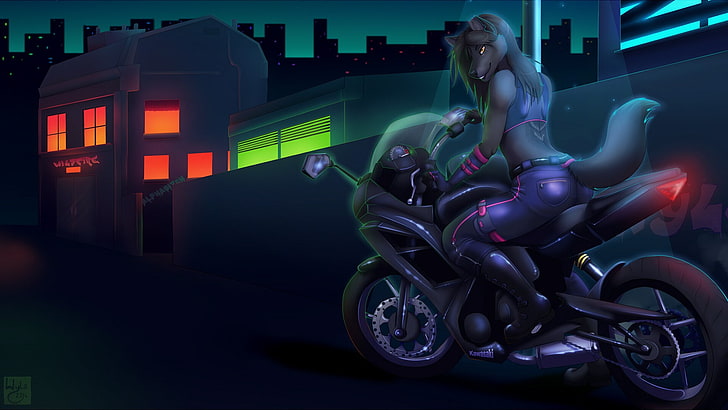 peludo, Anthro, motocicleta, HD papel de parede