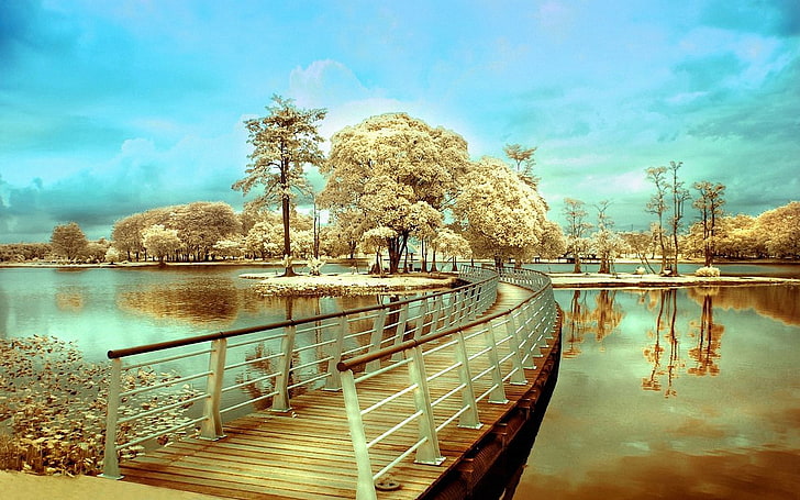 brown dock on body of water wallpaper, bridge, island, transition, trees, river, colors, HD wallpaper