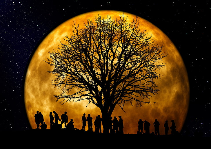 silhouette of tree and people next to moon wallpaper, silhouettes, tree, people, moon, night, HD wallpaper