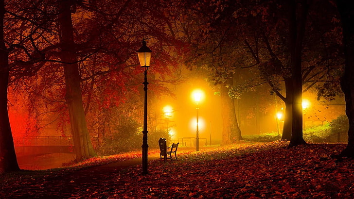 скамейка, сиденье, уличные фонари, уличный фонарь, парк, осень, вечер, ночь, сумерки, туман, HD обои