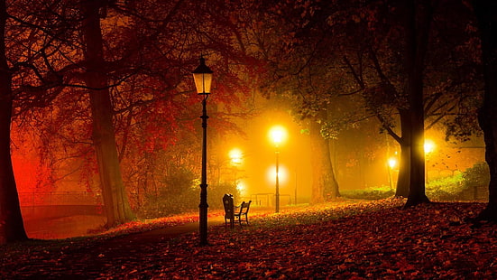 bench, seat, street lights, streetlight, park, autumn, evening, night, dusk, mist, HD wallpaper HD wallpaper