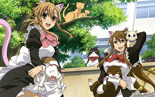 Nyan Koi, Anime Girls, Anime, HD-Hintergrundbild HD wallpaper