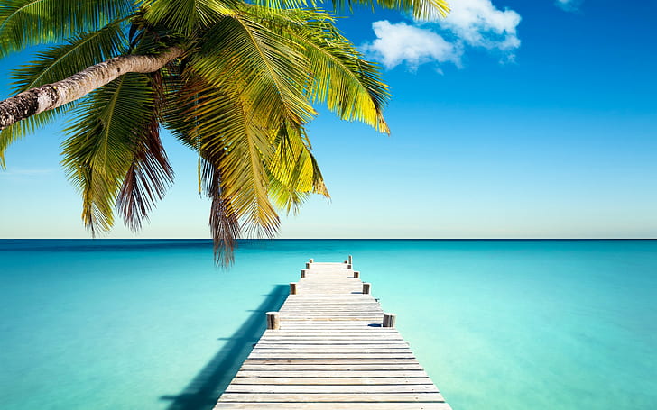 Tropical paradise with palm, coast, island, Ocean, sun, Sea, sand, beach, tropical, vacation, summer, palm, emerald, blue, pier, paradise, HD wallpaper