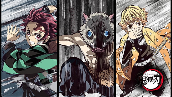 Anime, Demon Slayer: Kimetsu no Yaiba, Inosuke Hashibira, Tanjirou Kamado, Zenitsu Agatsuma, HD papel de parede HD wallpaper