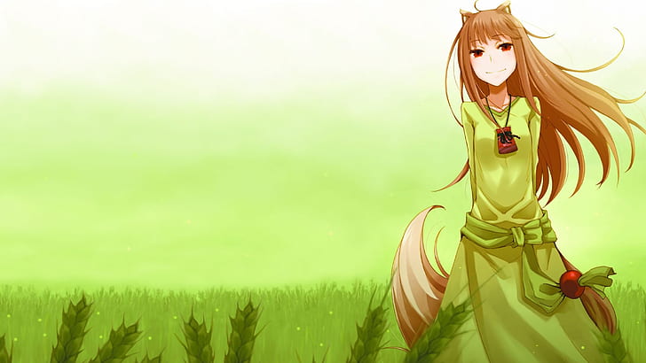 spice and wolf holo the wise 1680x1050  Anime Hot Anime HD Art , Spice and Wolf, Holo the Wise, HD wallpaper