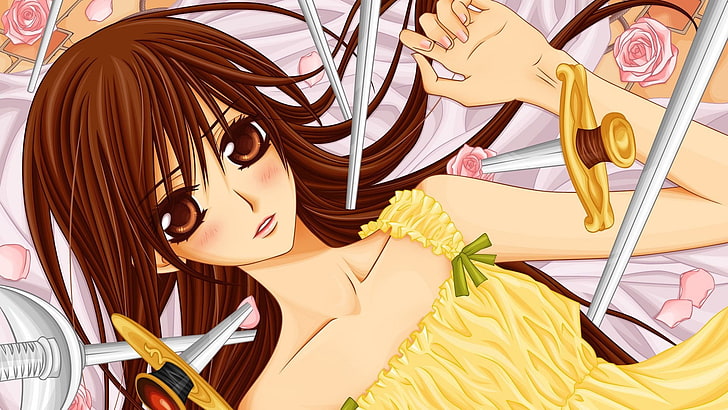 weibliche Figur im gelben Kleid digitale Tapete, Anime, Vampir Ritter, Ritter-Vampir, Yuki, HD-Hintergrundbild